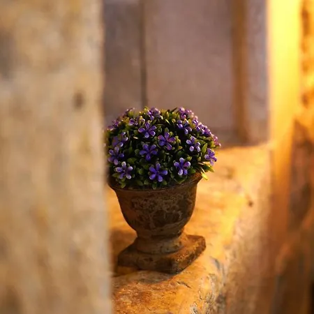 Guest house Romanic Palace Split