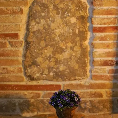 Guest house Romanic Palace